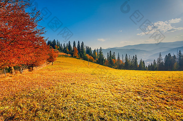 多彩的秋景