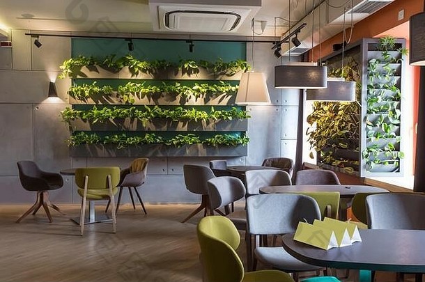 绿色植物墙的现代室内装饰趋势