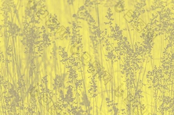 黄棕色抽象背景，植物图案