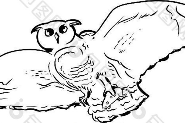 概述了插图单猫头鹰捕获猎物爪子