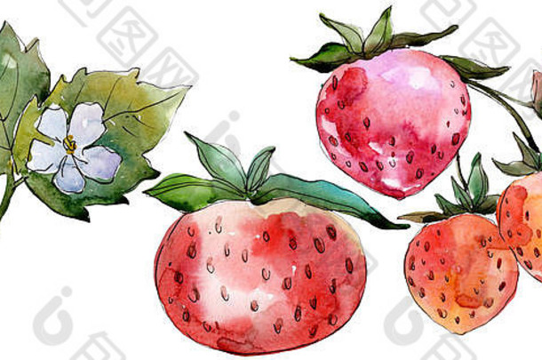 草莓健康的食物水彩背景插图集孤立的浆果插图元素