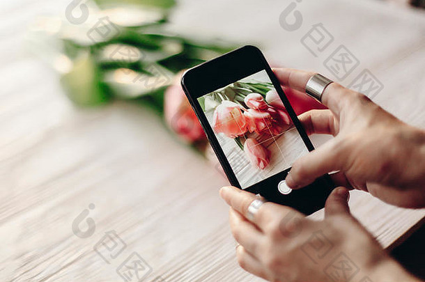 instagram摄影师博客研讨会概念。<strong>手持</strong>手机，为时尚花朵<strong>拍照</strong>。白色木制乡村背景上的粉红色郁金香
