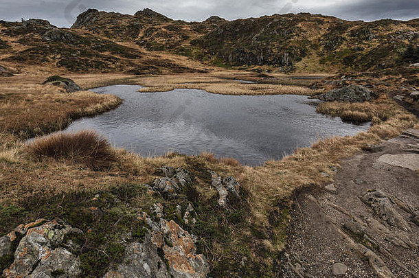 山与山之间的小湖，覆盖着枯萎的植物。挪威乌尔里肯山的秋天苔藓和宁静景象