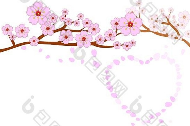 爱情和婚礼的概念。盛开的樱花和心形的花瓣；在白色背景上隔离。
