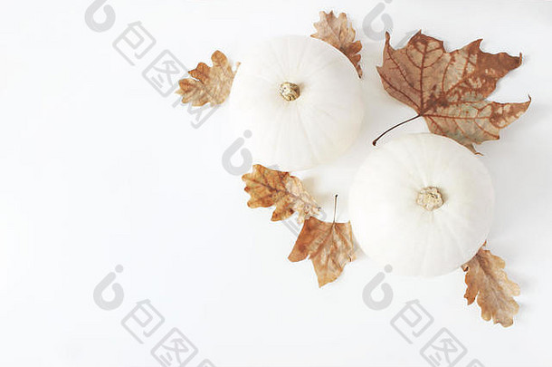 秋季作文。白色南瓜和干橡木的装饰角，桌子背景上隔离的枫叶。秋季、万圣节和感恩节的概念。风格的股票平铺。顶视图。