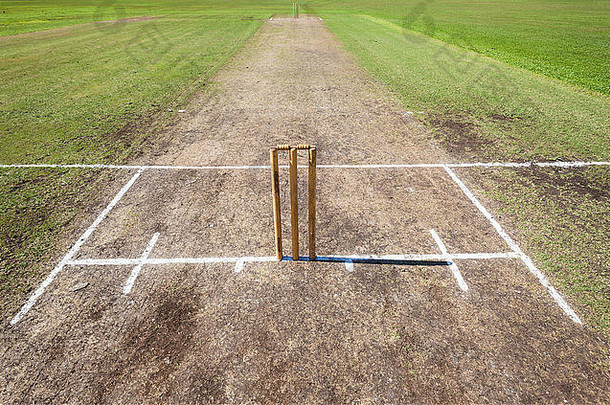 板球场场地特写照片用白色标记的边门和击球保龄球线在球场表面进行比赛。