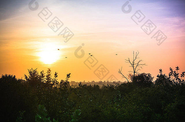 斯里兰卡Udawalawe自然公园的日出。五颜六色的日出，鸟儿飞过太阳。