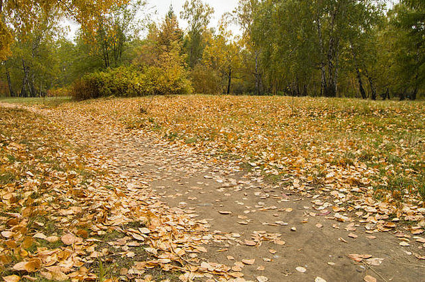 秋天公园里散步的小路。