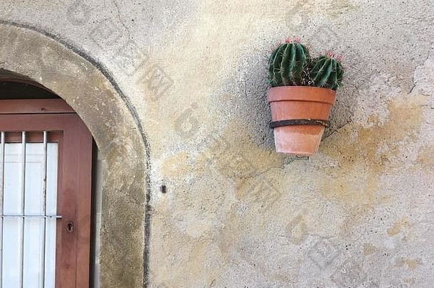 仙人掌植物固定墙<strong>铁环</strong>城市tarragona加泰罗尼亚西班牙