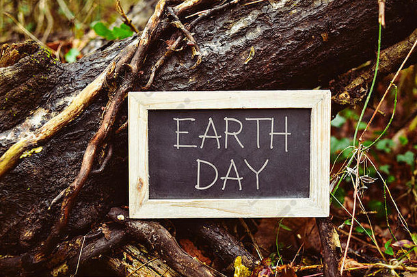 在树干上，一块木框黑板的特写，上面写着“地球日”