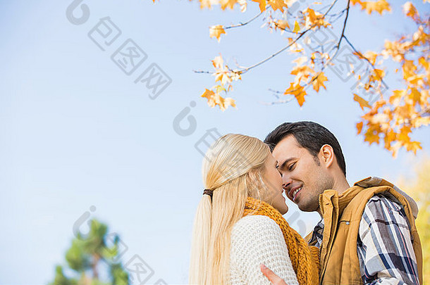 秋天，情侣在晴朗的天空下接吻的<strong>低</strong>角度照片