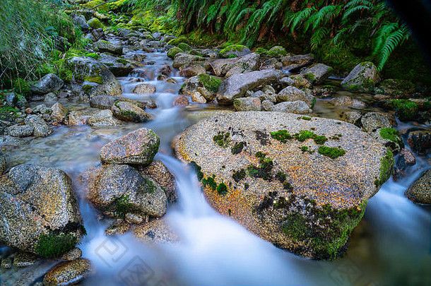 天然<strong>清新</strong>的水流经新西兰茂盛的绿色灌木丛，流经花岗岩<strong>周</strong>围。