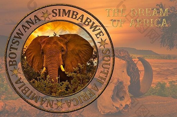美丽的非洲日落和日出图片，大象和长颈鹿