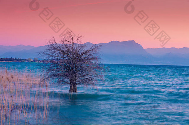 早期早....日出湖树湖加尔达湖泻湖加尔达意大利欧洲
