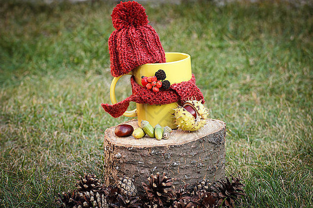 黄色的杯热茶羊毛帽包装羊毛围巾木树桩花园秋天装饰