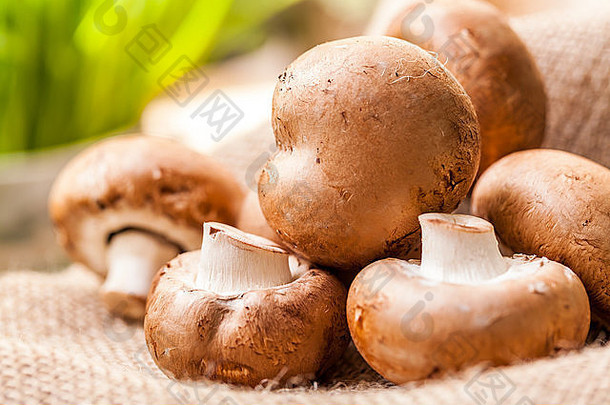 新鲜的棕色未煮熟的蘑菇放在麻袋里，是世界上栽培最多的食用菌之一，也是一种美味的蘑菇