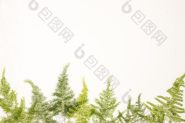 绿色叶子平原白色背景文本框架口号