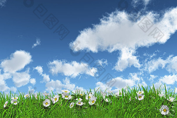 阳光明媚的日子里草地上雏菊的3D渲染