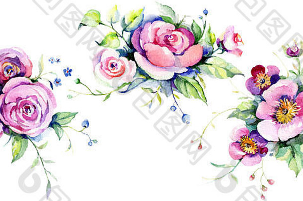 粉红玫瑰花束，罗兰植物花。水彩背景设置。独立花束插图元素。