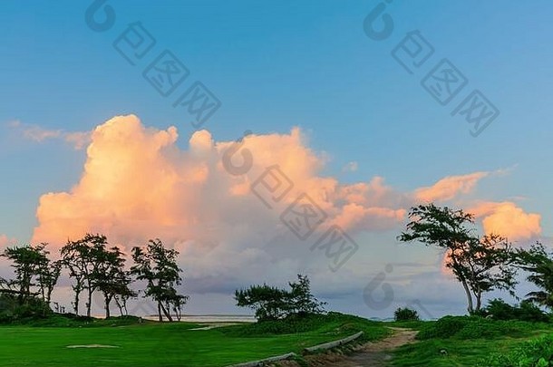 夏威夷瓦胡岛北岸日落时的树木图片