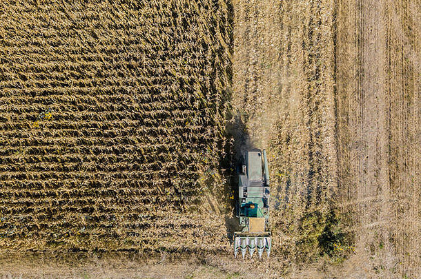 联合收割机从田里采种，用联合收割机鸟瞰田里，玉米剥皮机采集作物。玉米脱粒