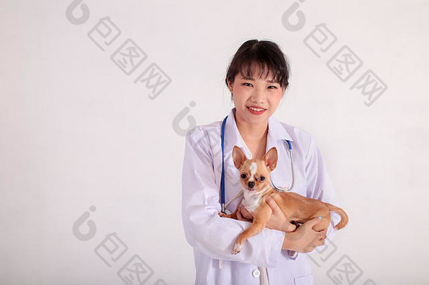 快乐的亚洲女兽医白色医疗礼服微笑持有吉娃娃宠物相机白色背景