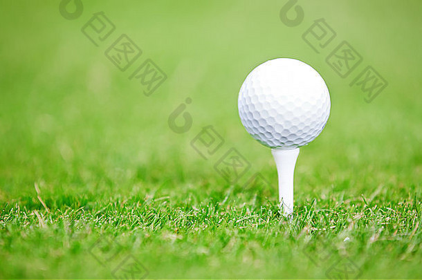 绿色草坪上的高尔夫球。特写照片