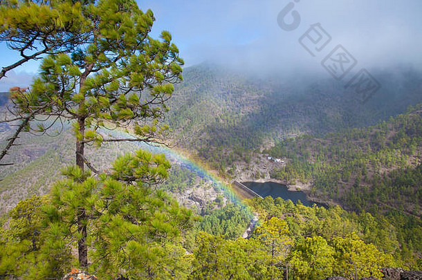 大加那利岛自然公园松森林tamadaba视图峡谷的<strong>牧童</strong>峡谷彩虹