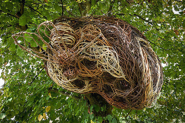 英国布罗德巴顿村莱姆菲尔德的柳编黄蜂巢。