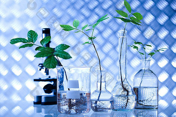 化学实验室玻璃器皿设备，生态学