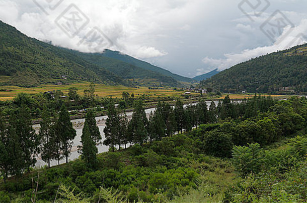 树河punakha区不丹