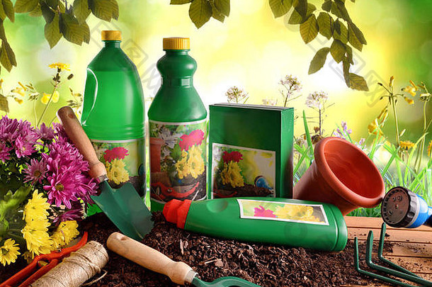 瓶容器园艺产品增长植物花植物装饰绿色背景自然桑利格