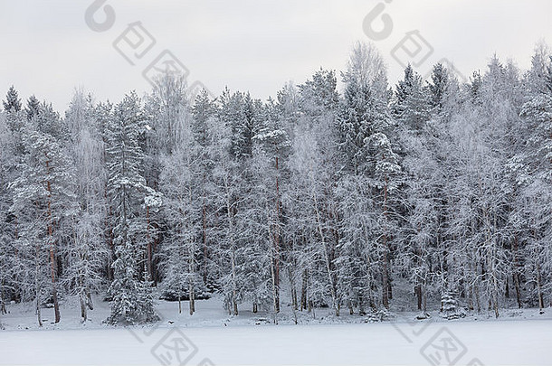 <strong>芬兰</strong>冬季湖景
