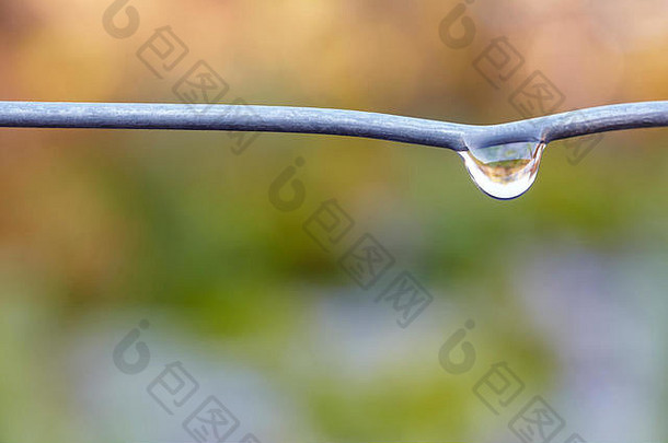 一滴水在一根有绿色自然背景的电线上。水平的