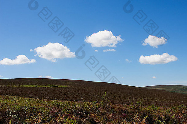 埃克斯穆尔带着白色蓬松的云，遥远的荒野带着不同寻常的云，超现实主义，<strong>英国风景</strong>，荒野