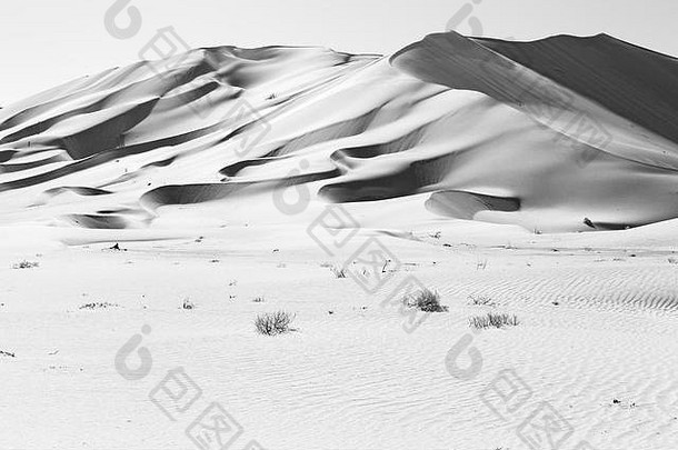阿曼老沙漠鲁布阿勒哈利的空旷区和户外沙丘