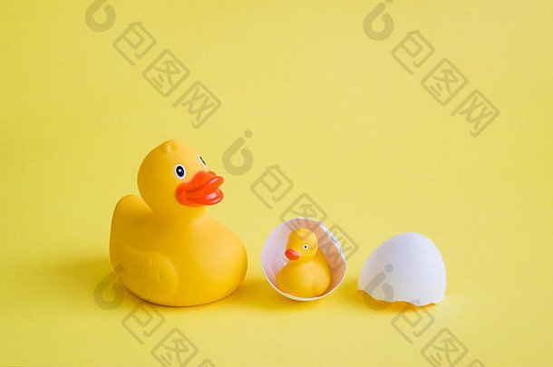 橡胶鸭小鸭子蛋壳牌黄色的背景最小的有创意的概念