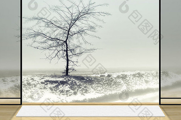 数字背景工作室摄影师Zen房间孤独的树雾背景