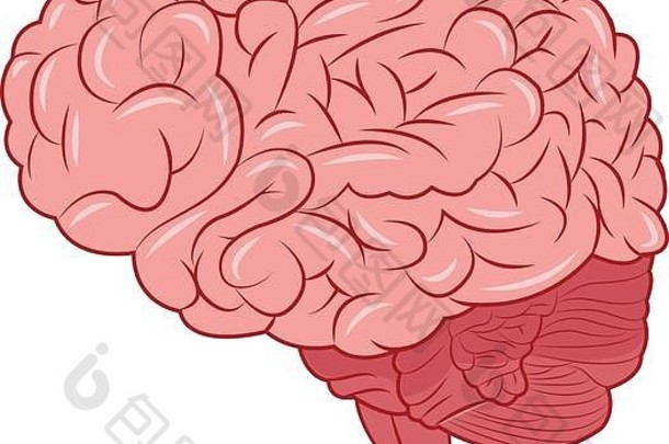 人类大脑图标