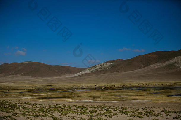 干风景玻利维亚