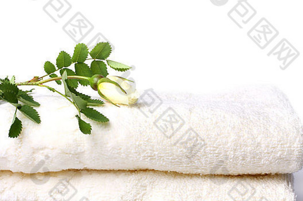 浴毛巾玫瑰孤立的白色