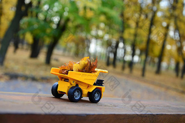 一辆黄色的小玩具卡车装满了黄色的落叶。汽车停在一个木质表面上，背景是一个模糊的秋季公园。克林