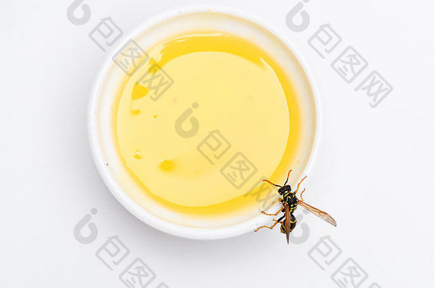 甜的天然花蜜。健康食品和生活方式理念。天然有机产品。天然甜味剂。蜂蜜生产。天然蜂蜜和蜜蜂接近。蜂蜜白色背景上的蜜蜂或黄蜂。
