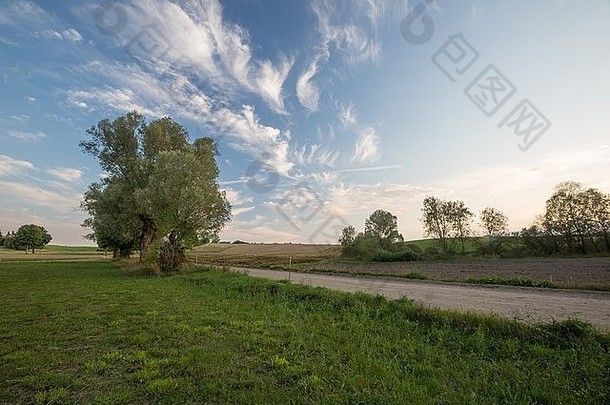 农村景观波兰的农村场草地蓝色的天空云宁静的场景