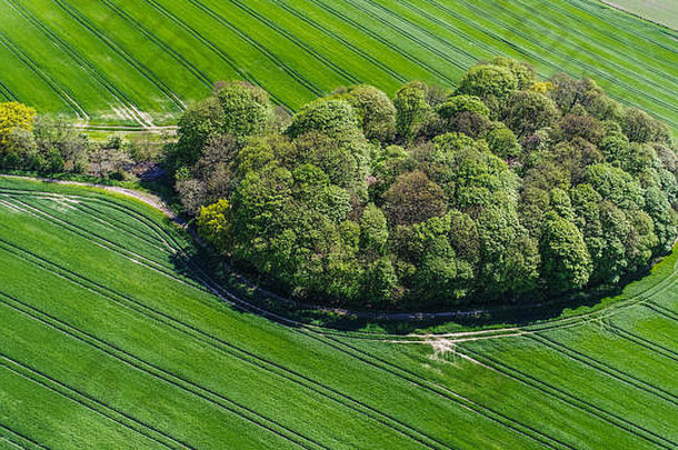 英格兰利物浦普雷斯科特惠斯顿农民农田和中央森林的航空照片