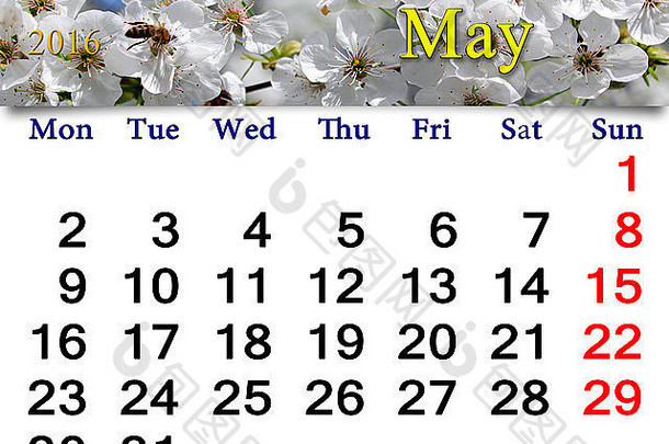 2016年5月白色盛开樱桃日历