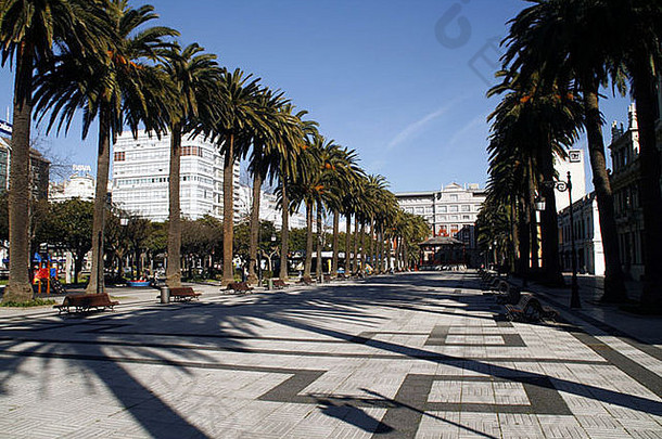 棕榈树衬里散步中央加盟西班牙