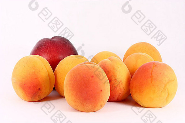 新鲜的色彩斑斓的成熟的杏子高丽油桃