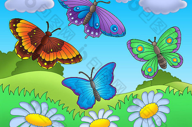 草地上的蝴蝶-彩色插图。