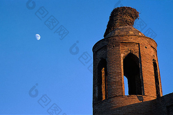 中亚乌兹别克斯坦布哈拉尖塔顶部的鹳巢